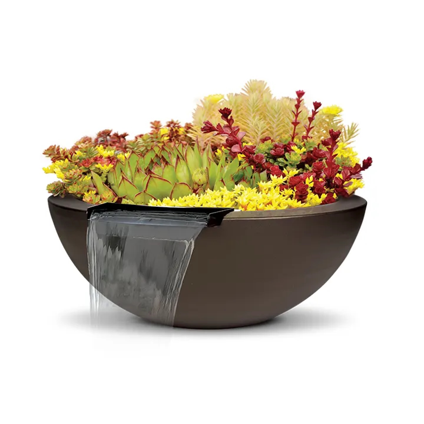 Water Bowl